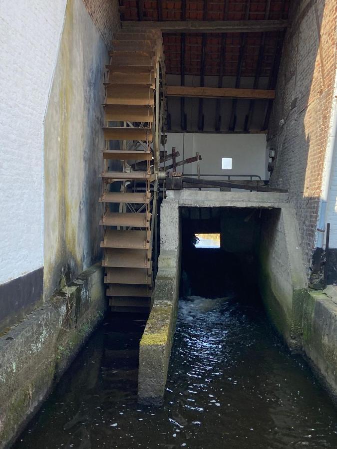Vakantiewoning Wurfeldermolen Maaseik Bagian luar foto