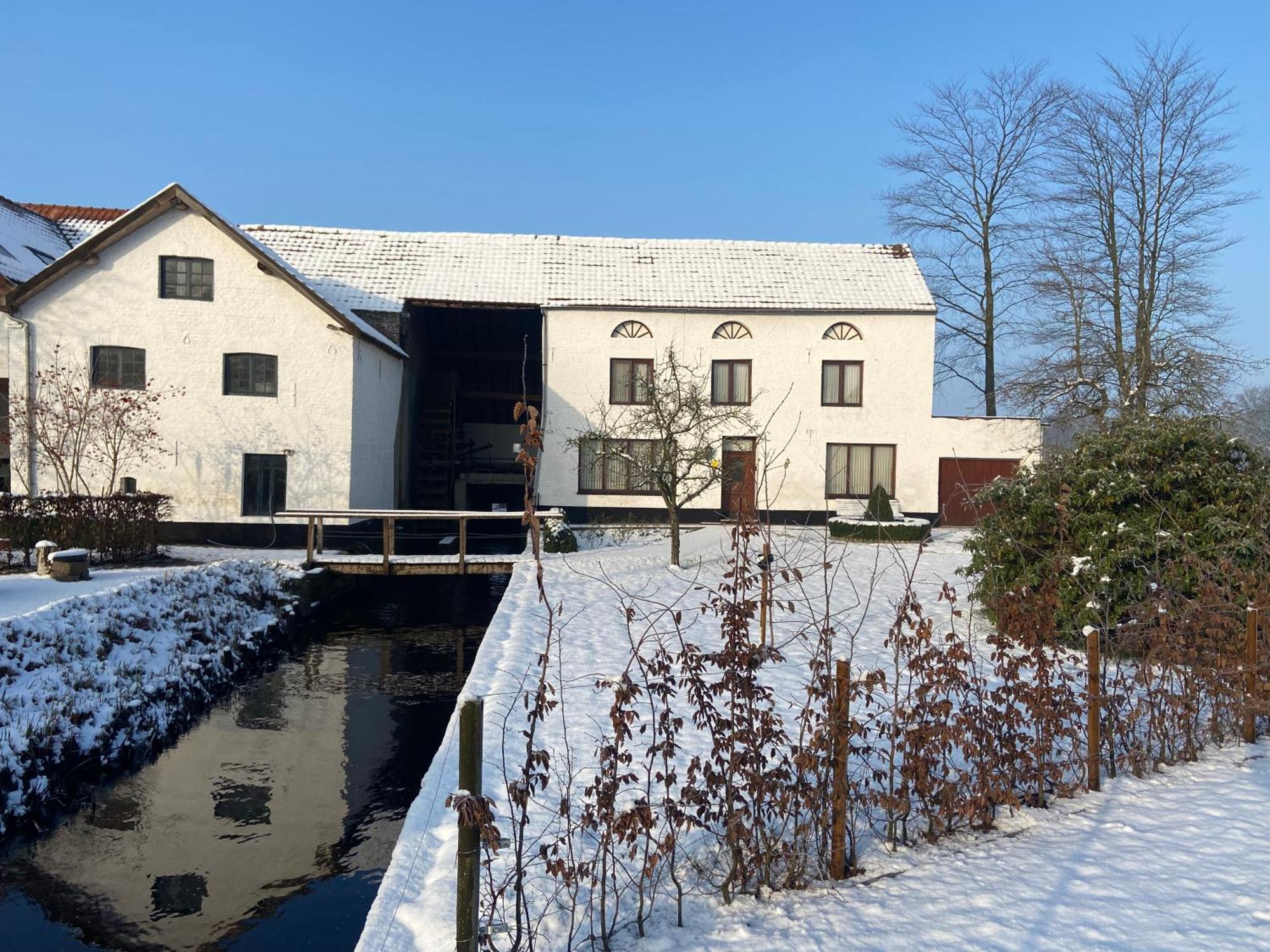 Vakantiewoning Wurfeldermolen Maaseik Bagian luar foto